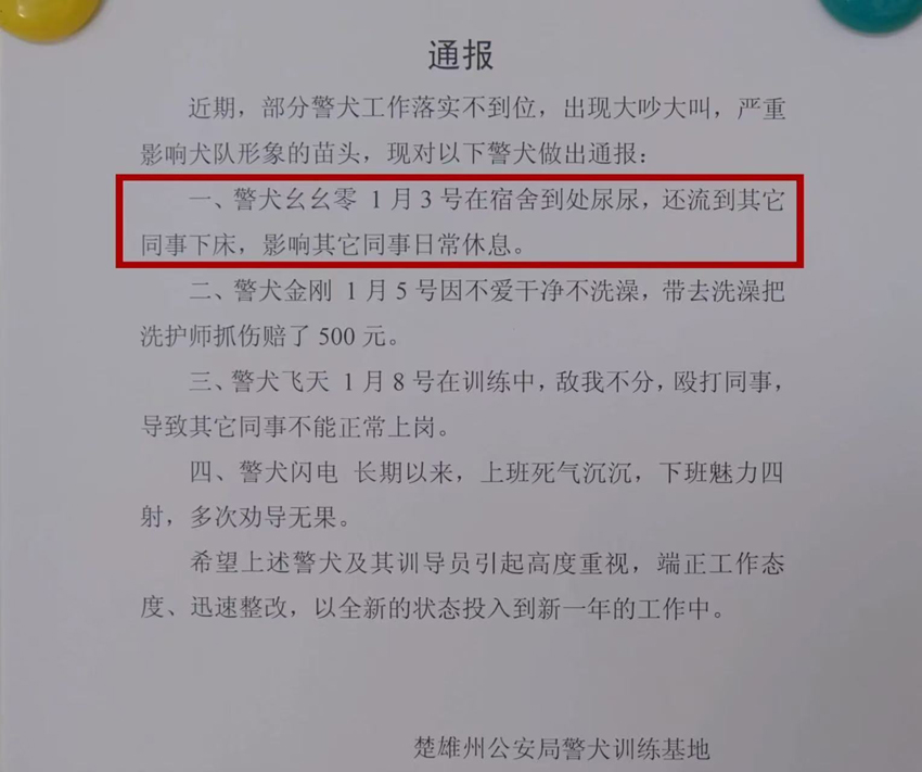 云南警犬连续通报批评背后的故事