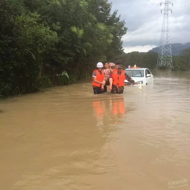 湖南水库放水引发下游虾群爆发，生态现象引发关注，是奇迹还是警示？