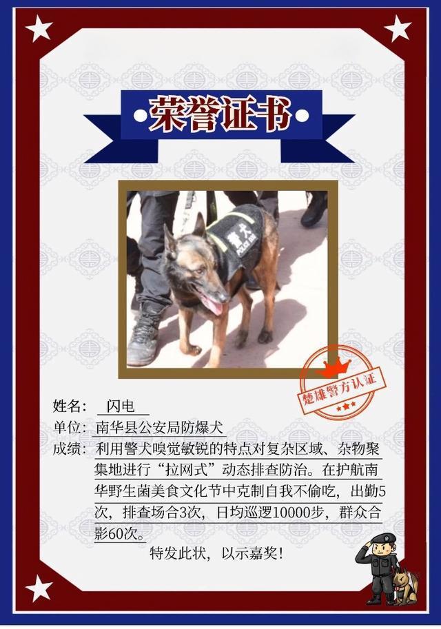 警犬遭通报批评的背后，四勇士失误揭秘