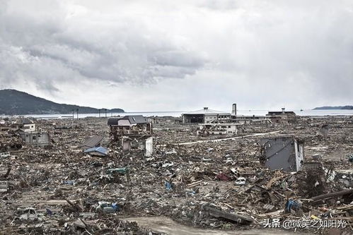 日本地震，灾难中的坚韧与希望之光