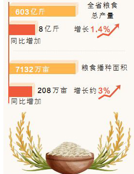 湖南粮食丰收突破600亿斤，揭秘成功之道与未来展望