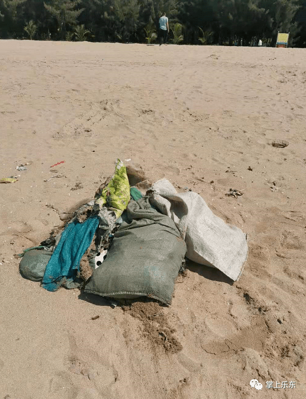 小伙埋沙一年，沙滩行李奇遇记——三亚沙滩的冒险之旅