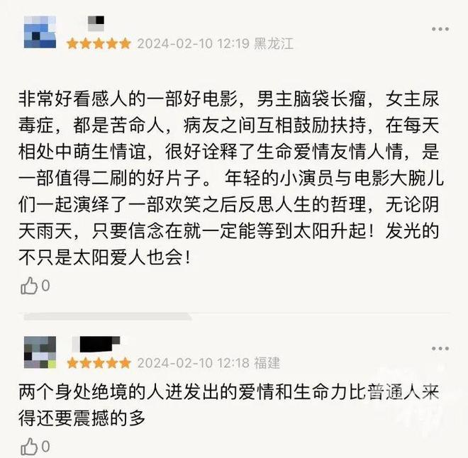 春节电影观后感，情感共鸣与视觉盛宴的交织体验