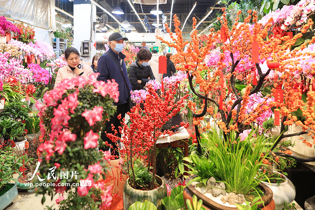 春节花卉市场热卖，繁花似锦迎新春佳节