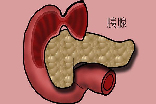 日常饮食如何有效调节血糖水平