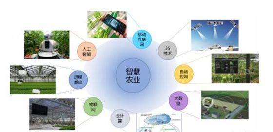 自动化与物联网如何改变现代农业生产