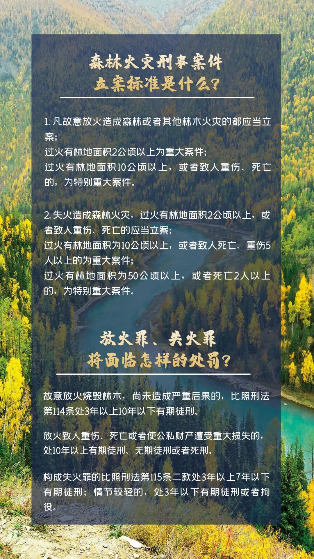 森林火灾频发背后的原因及应对策略