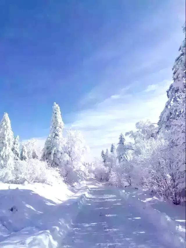 多地冬季旅游活动丰富