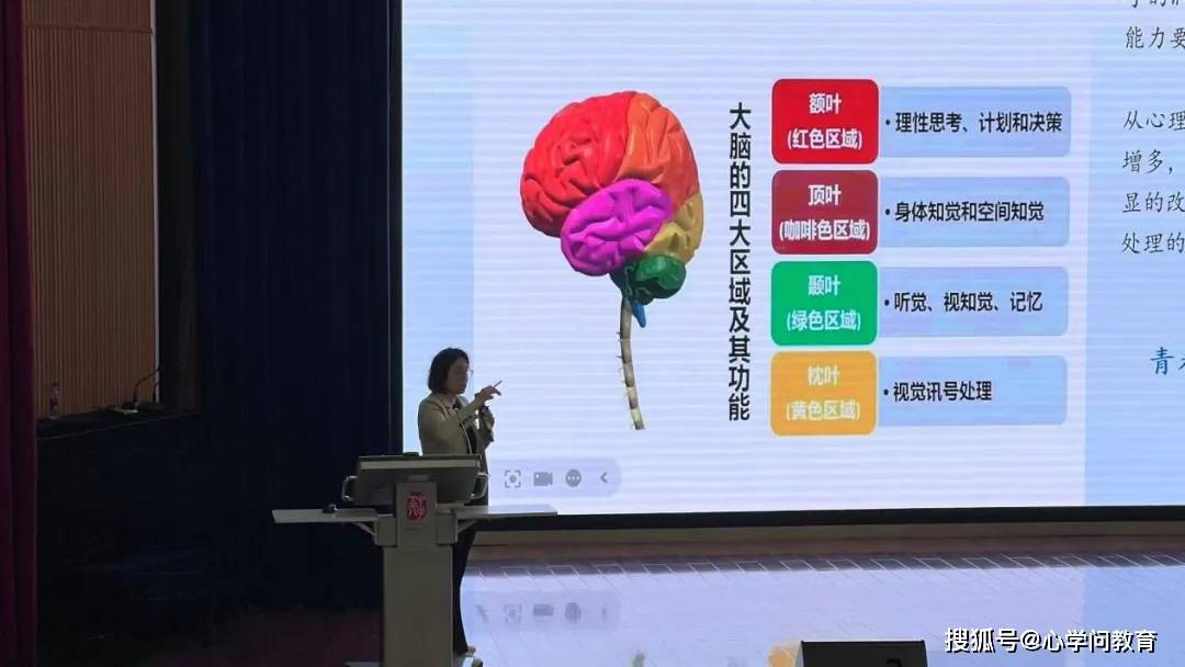 教育与心理学结合