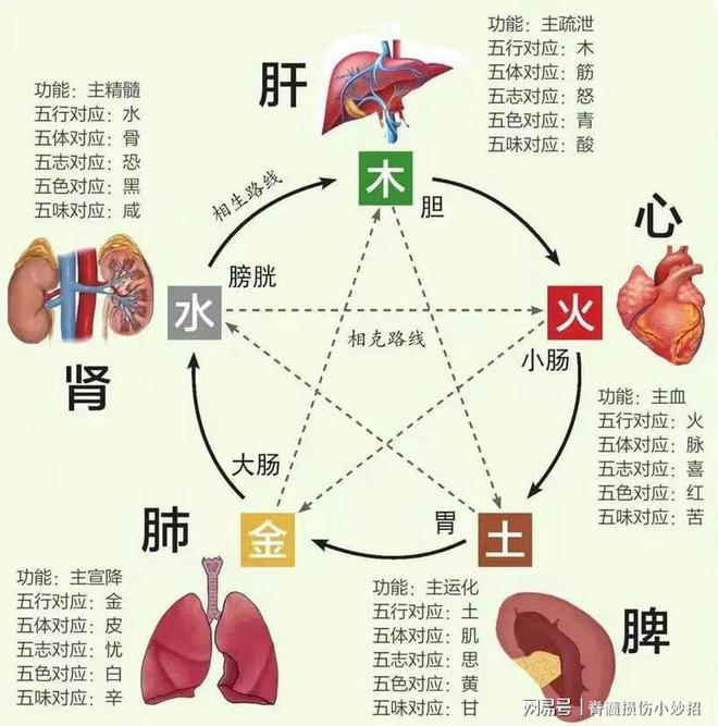 如何通过中医调节气血平衡