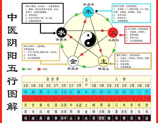 中医的阴阳五行理论在养生中的应用