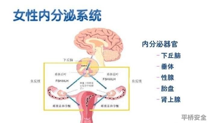 中医调节内分泌系统平衡的方法与策略