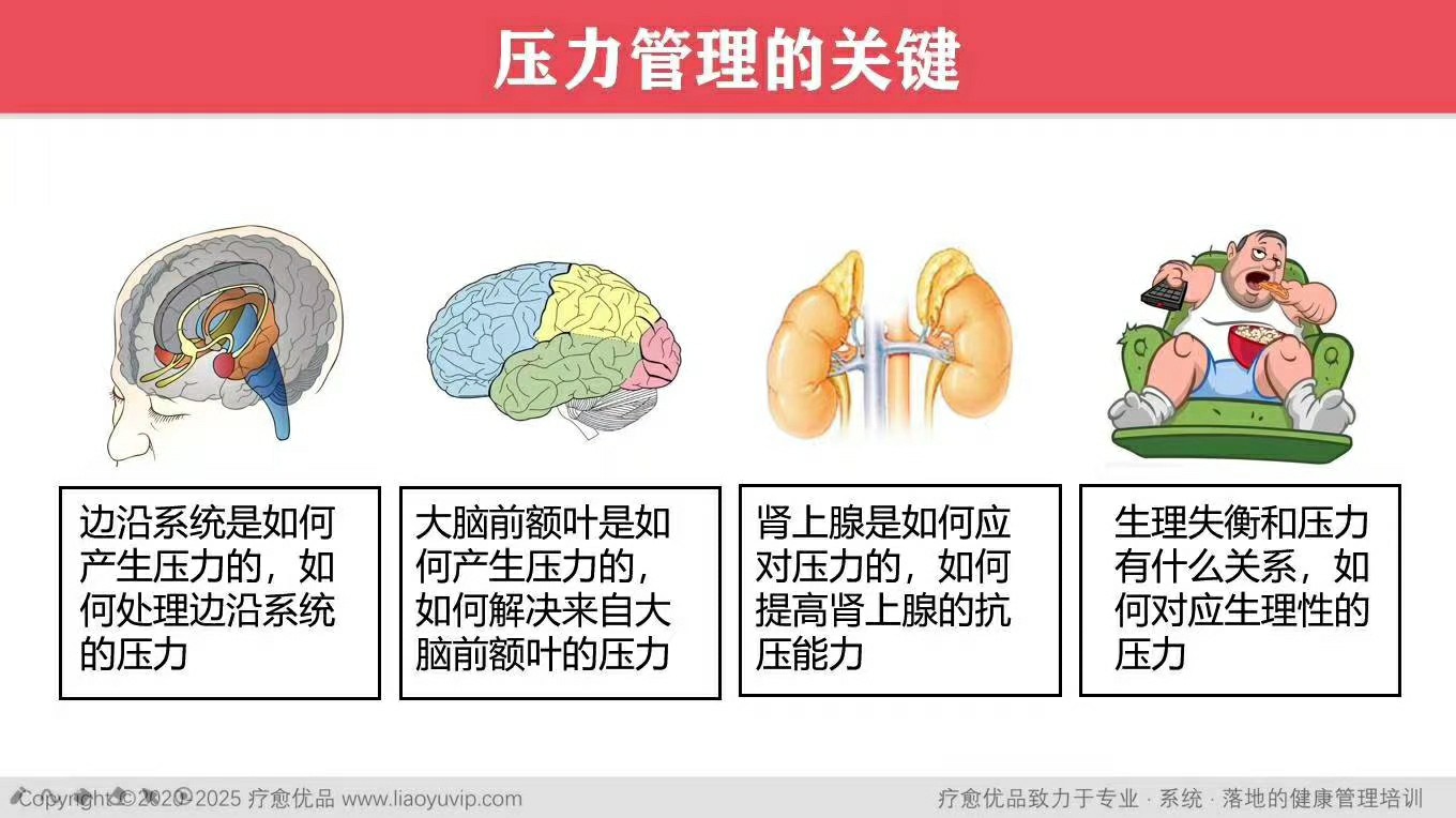 压力管理对身体健康的深远影响分析