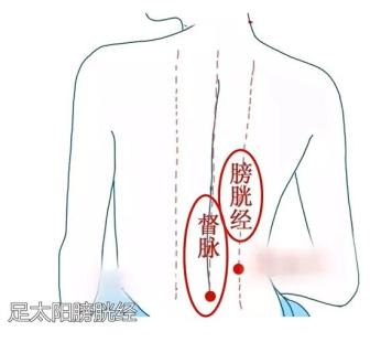 传统中医刮痧对健康功效的深度解析