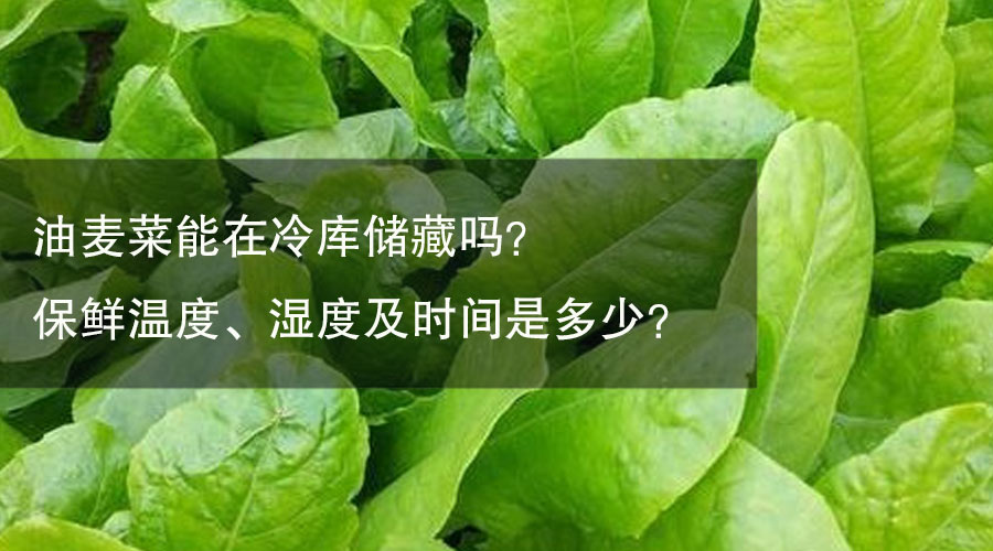 蔬菜储存最佳湿度范围研究探讨