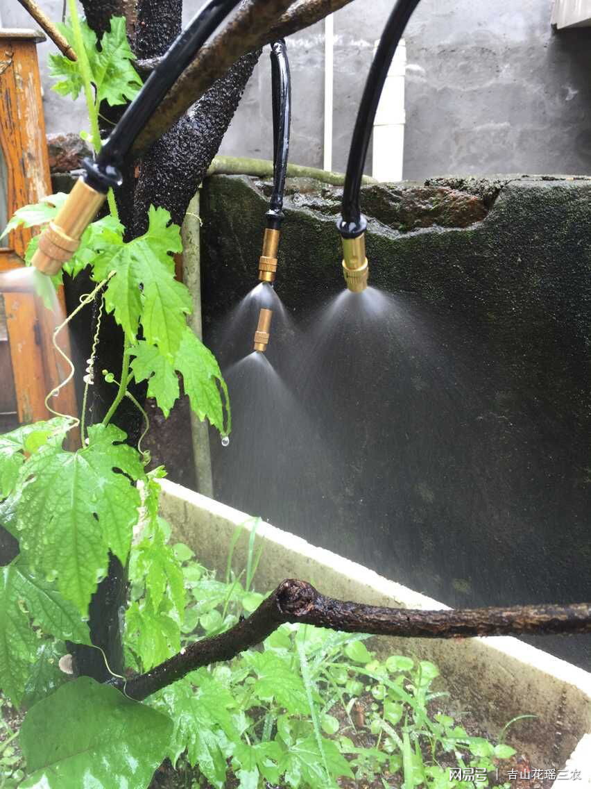 雨水家庭灌溉，环保高效灌溉新选择