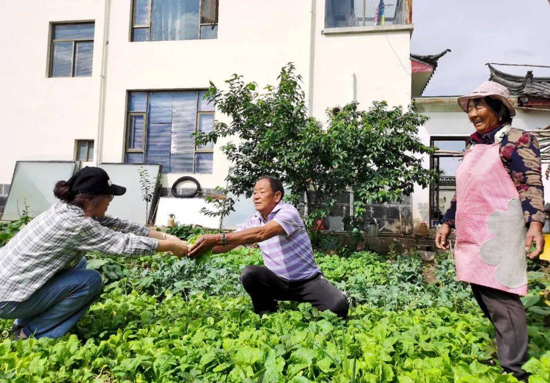 绿色家庭实践指南，轻松实现环保生活