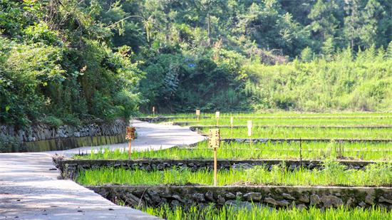 共享经济对城市基础设施的影响深度解析